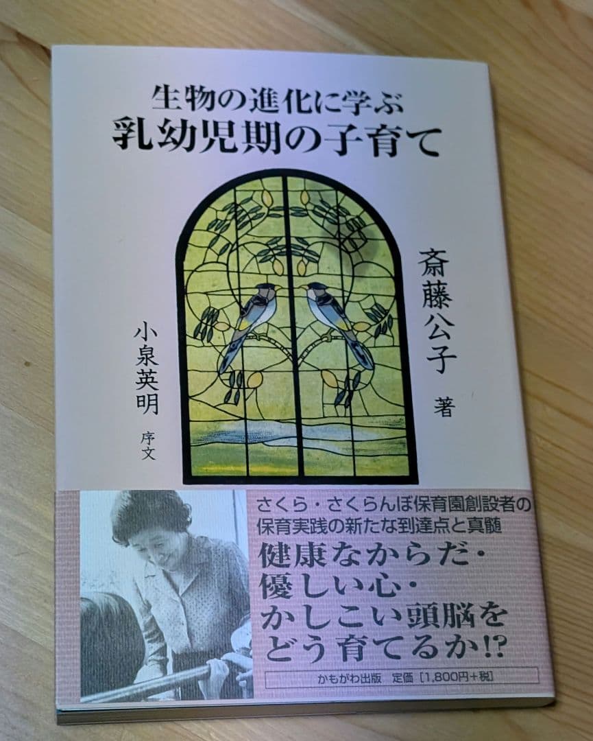 さくら・さくらんぼ保育園、斎藤公子本まとめ売り　　子ども/ヒトが人間/生物の進化