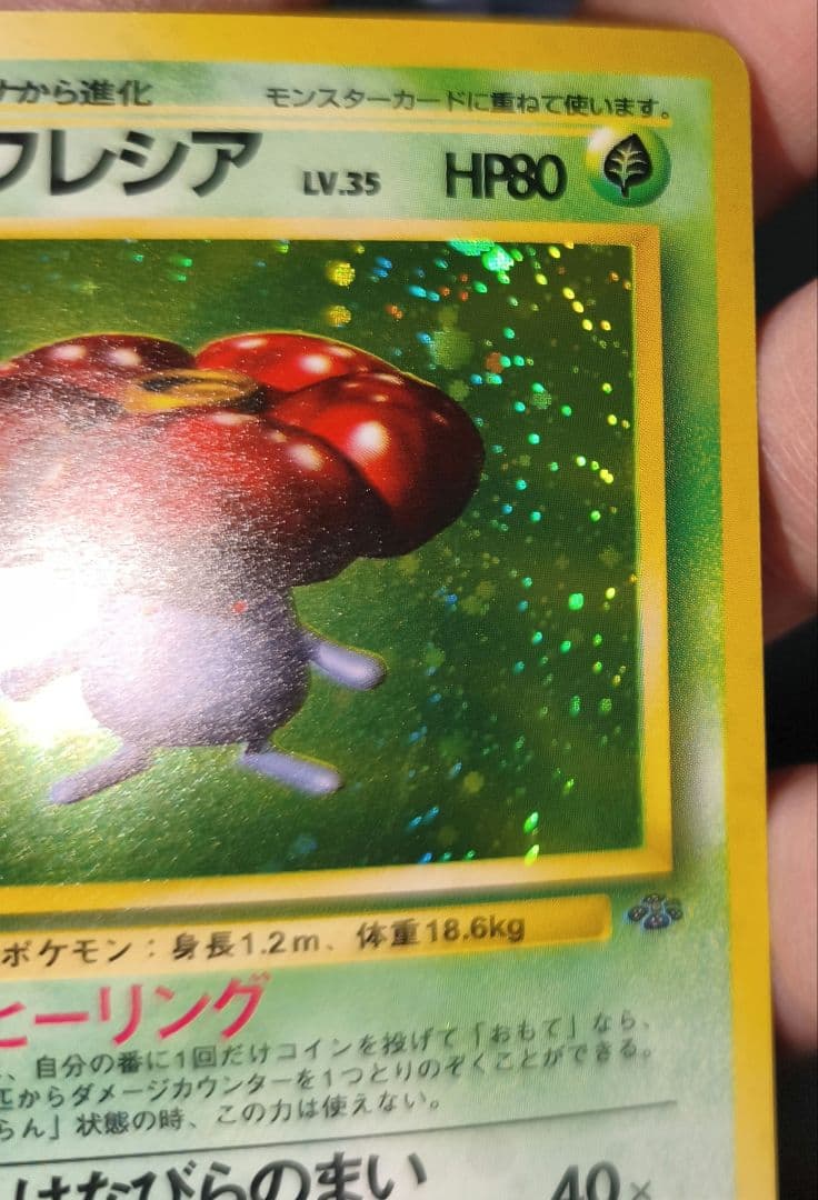 ラフレシア ★ 第2弾拡張パック ポケモンジャングル　渦巻き有り美品