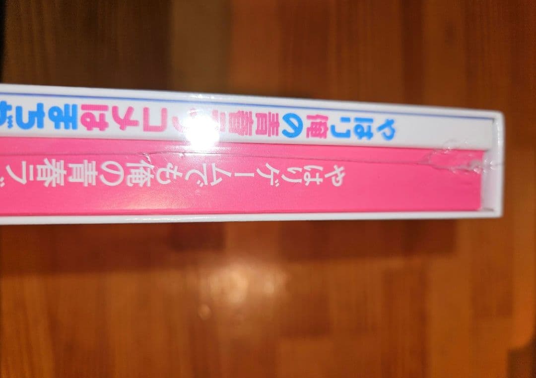 やはりゲームでも俺の青春ラブコメはまちがっている。続 限定版　vita