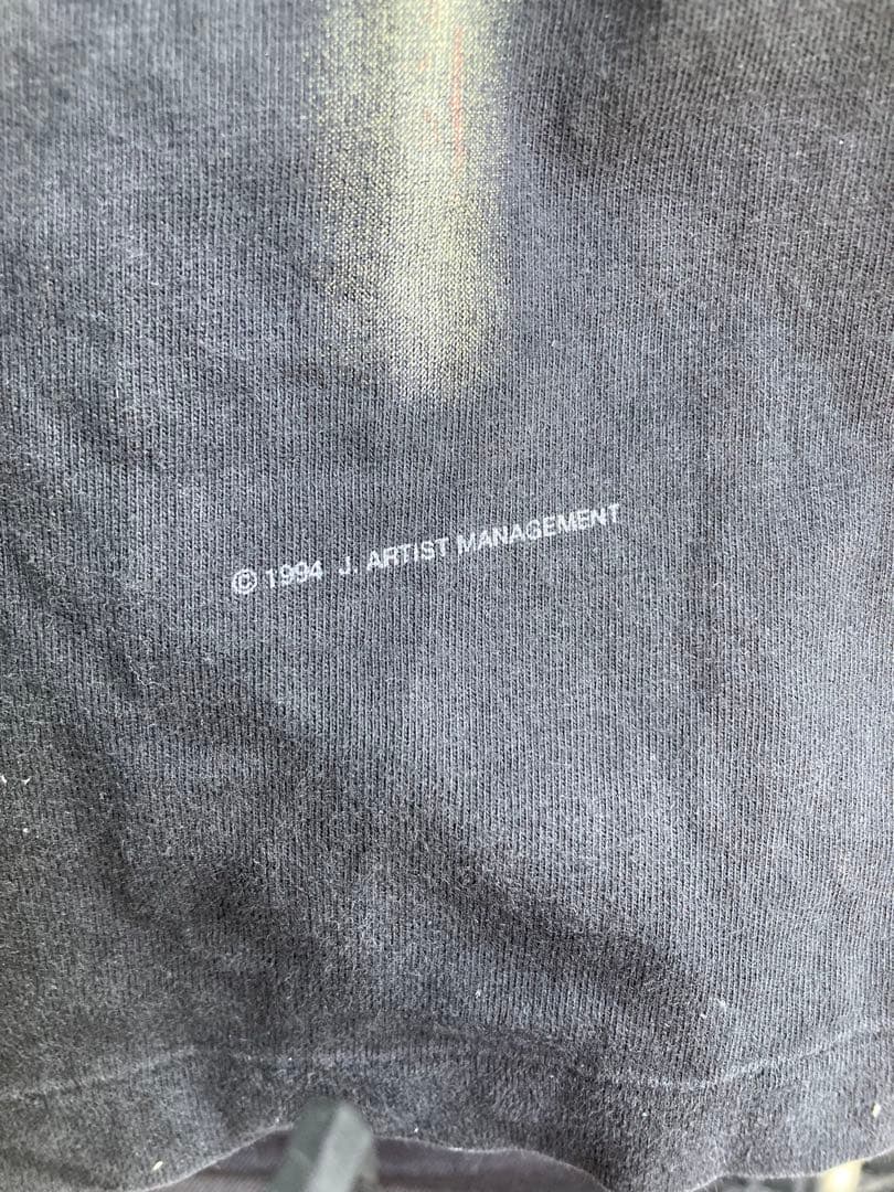 ミュージシャン NINEINCHNAILS THE DOWNWARD SPIRAL HANES