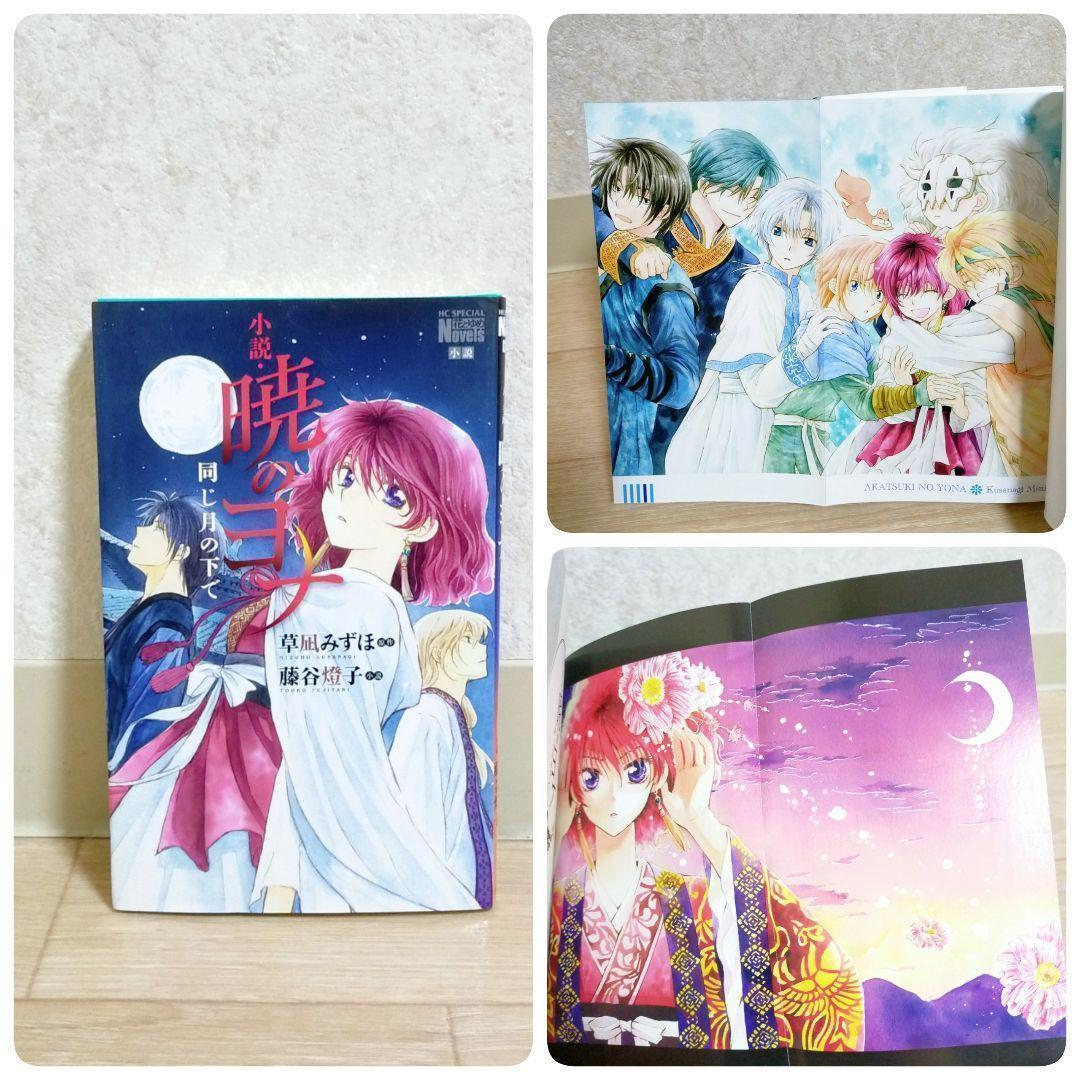 【特装47巻＆イラスト集付】暁のヨナ 1~47全巻 小説 ファンブック【送料込】