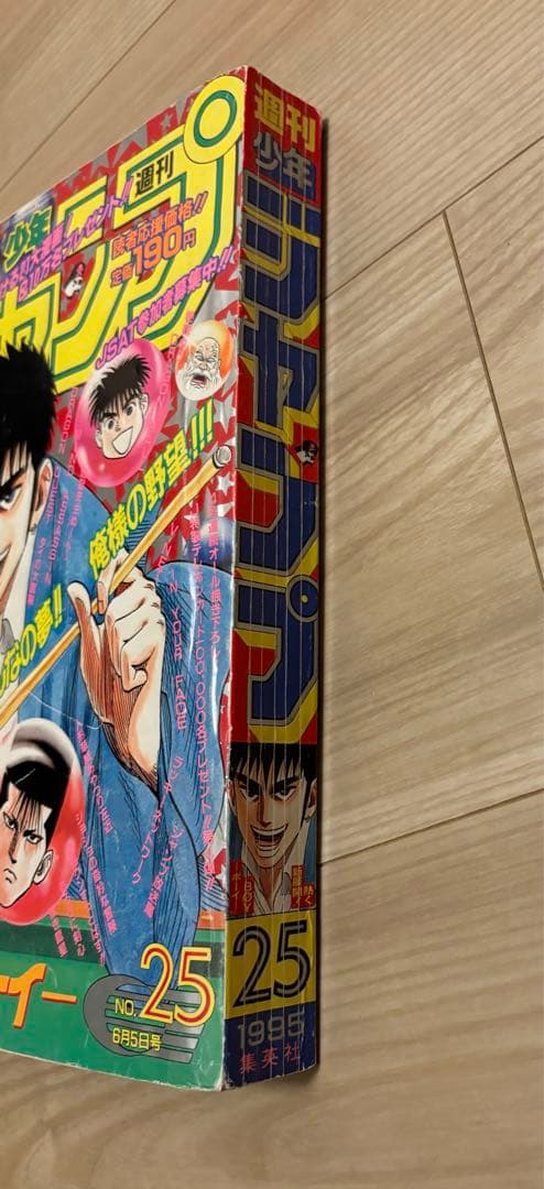週刊少年ジャンプ　1995年25号　ドラゴンボール最終回掲載号