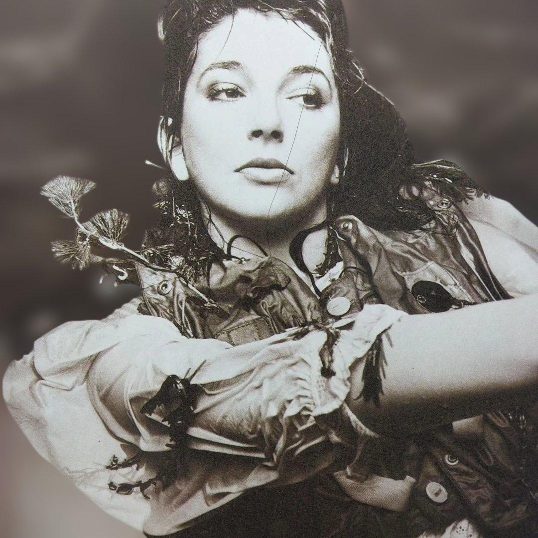 ['85年国内盤LP] Kate Bush / Hounds Of Love