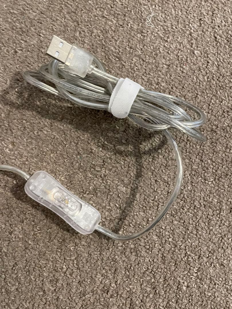 ⭐︎ lovanseaさん専用⭐︎HAY neon tube LED 120