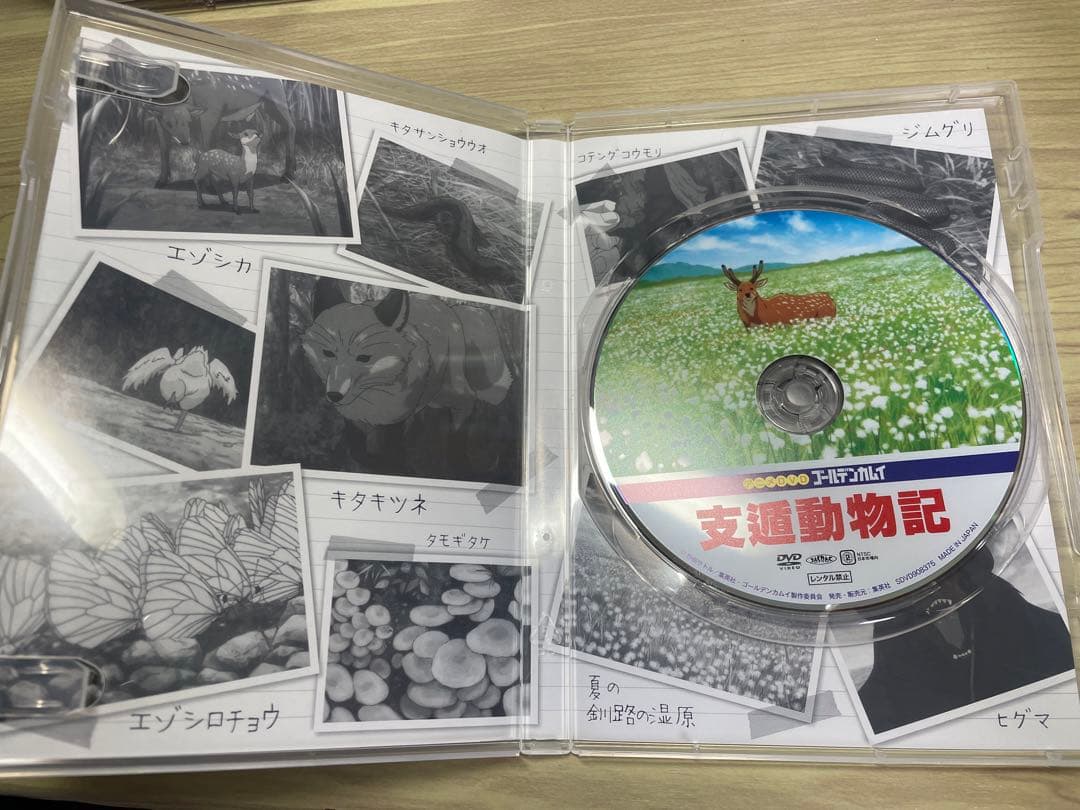 ゴールデンカムイ 23巻　アニメDVD同梱版