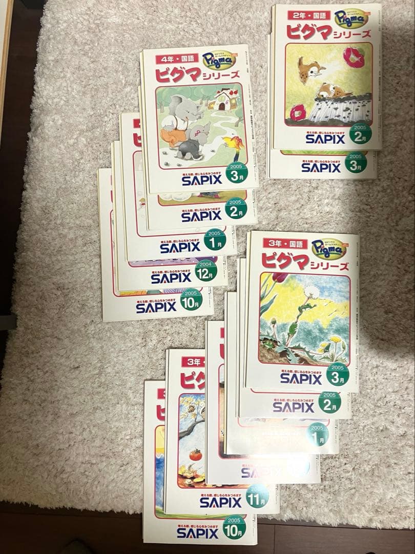 SAPIX 2〜4年生　学習参考書 2005年度版