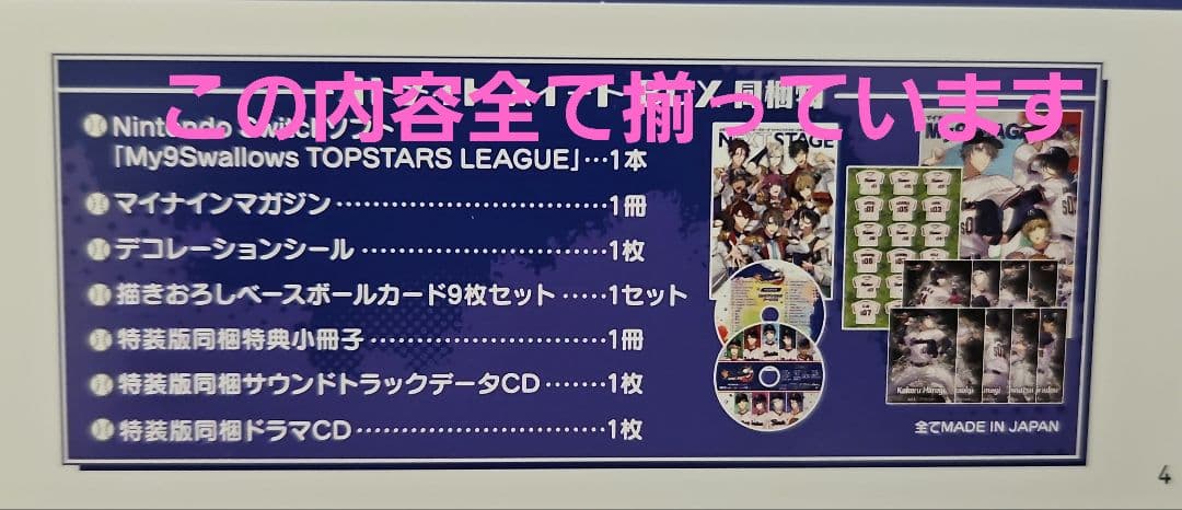 マイナインスワローズ【My9 Swallows TOPSTARS LEAGUE】