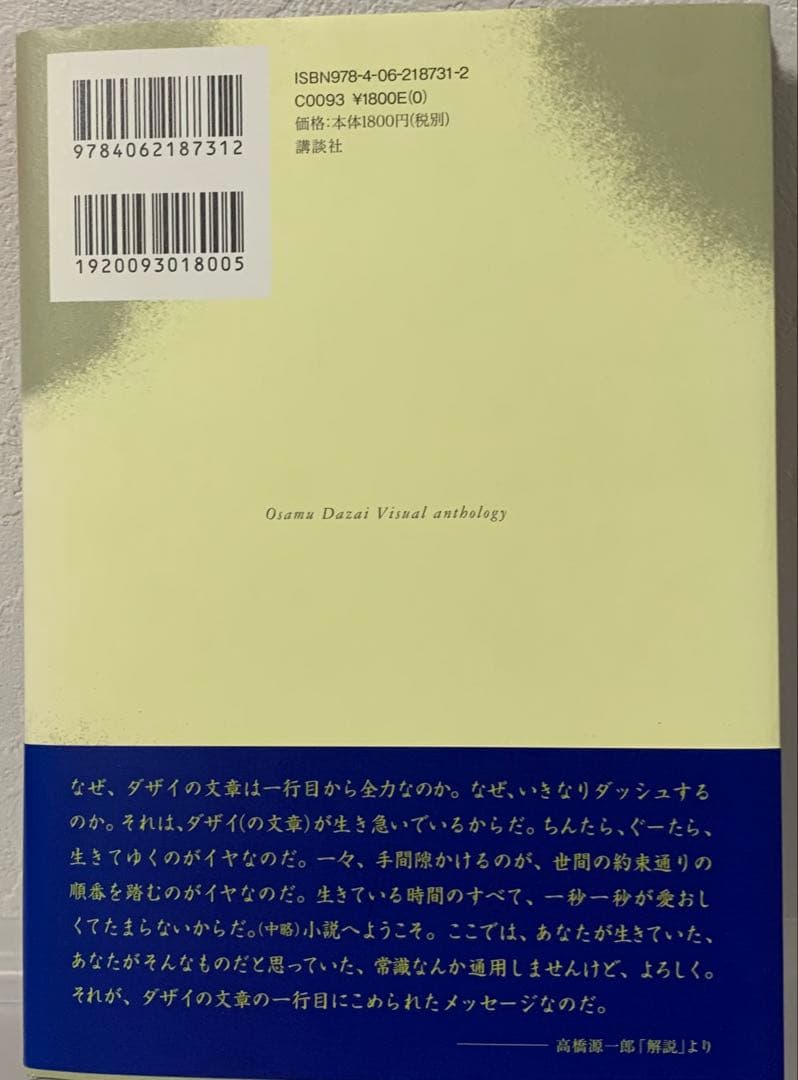 太宰治 ヴィジュアル選集 DVD付き