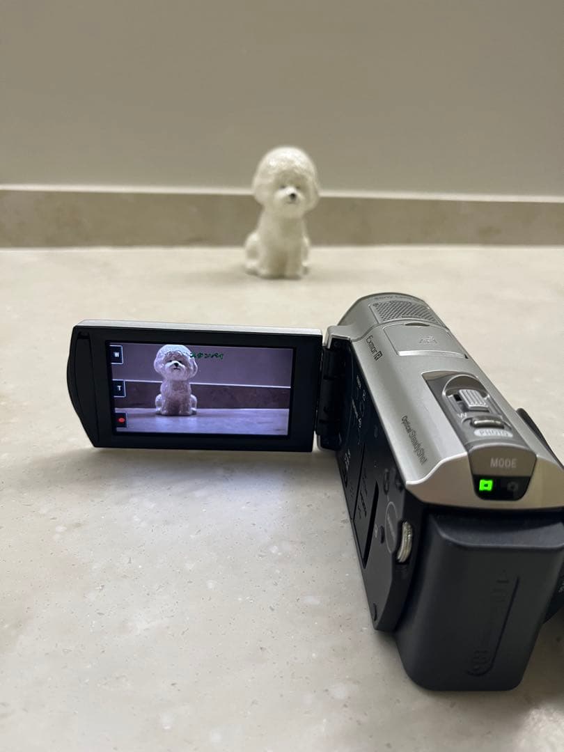 SONY デジタルHDビデオカメラハンディカム HDR-CX500V