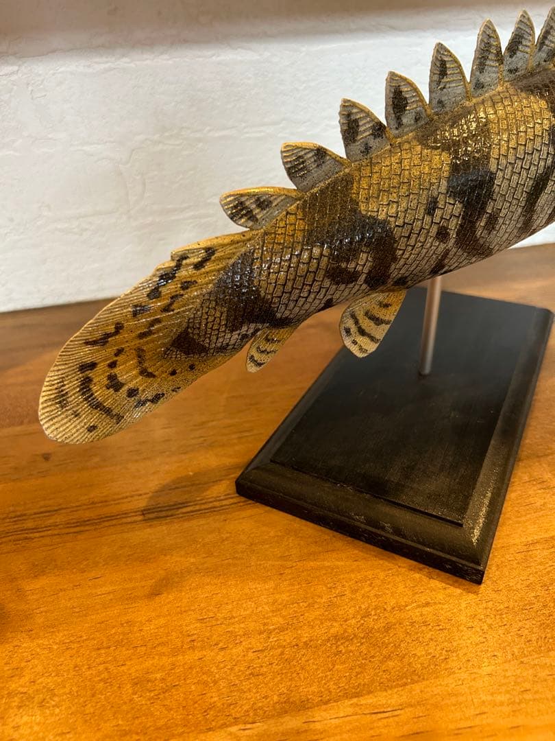 美品　34cmポリプテルス　フィギュア　レプリカ　fish craft REAL