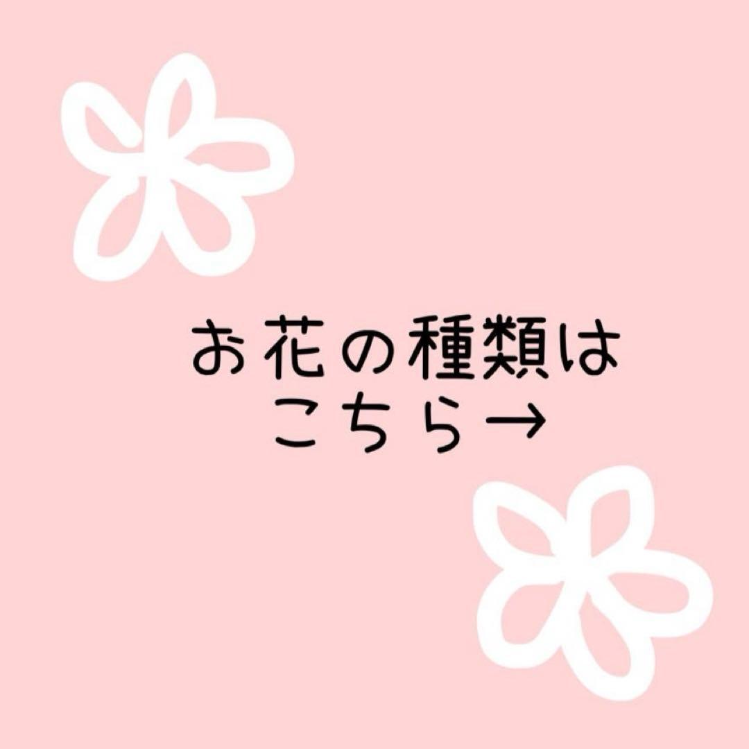 みっちー