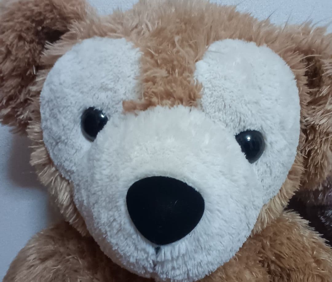 ダッフィーとシェリーメイぬいぐるみLサイズ2体セット