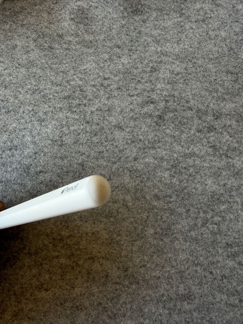 Apple Pencil 第2世代 元箱付き