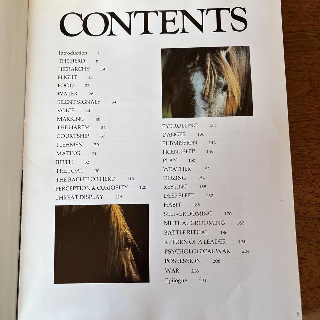 洋書 Such Is the Real Nature of Horses