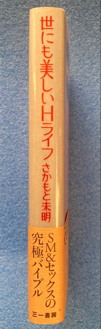 世にも美しいHライフ