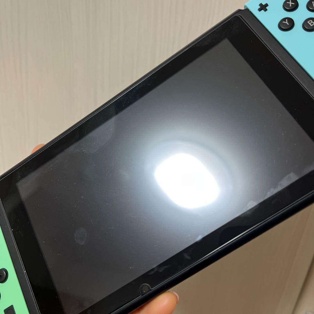 Nintendo Switch 本体 動物の森
