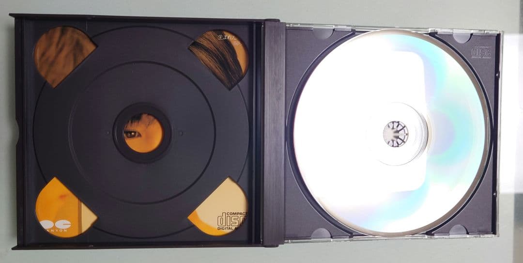 CD　堀ちえみベスト　生まれた時から