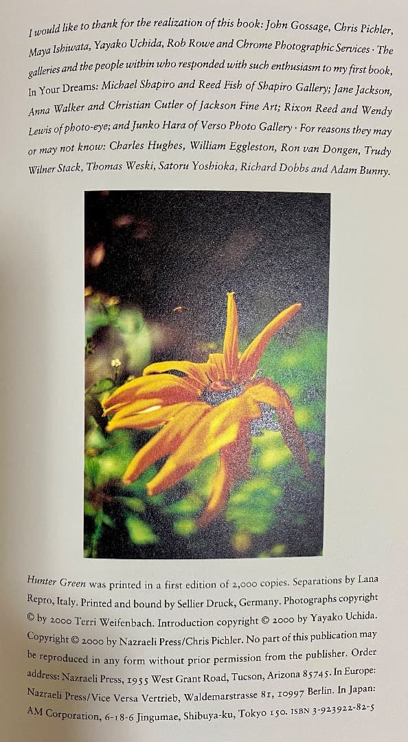 Terri Weifenbach / テリ・ワイフェンバック・写真集 3冊セット