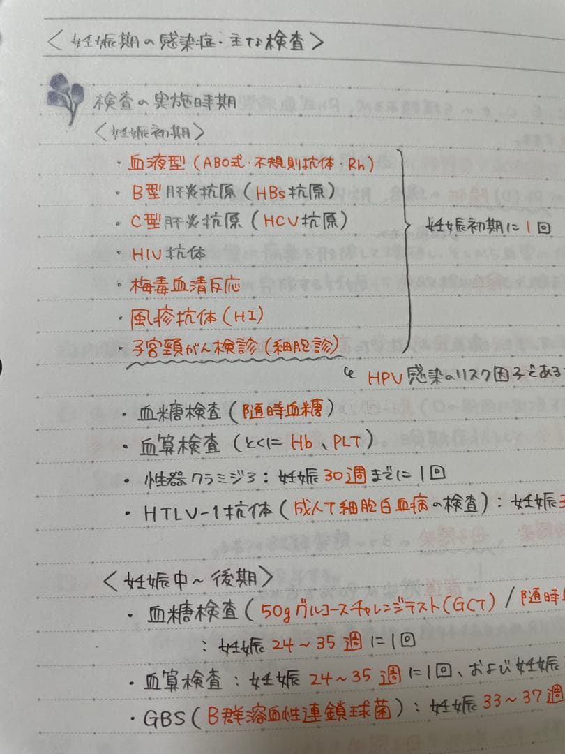 助産師学校受験対策　まとめノート　【母性】【小児】【基礎看護】