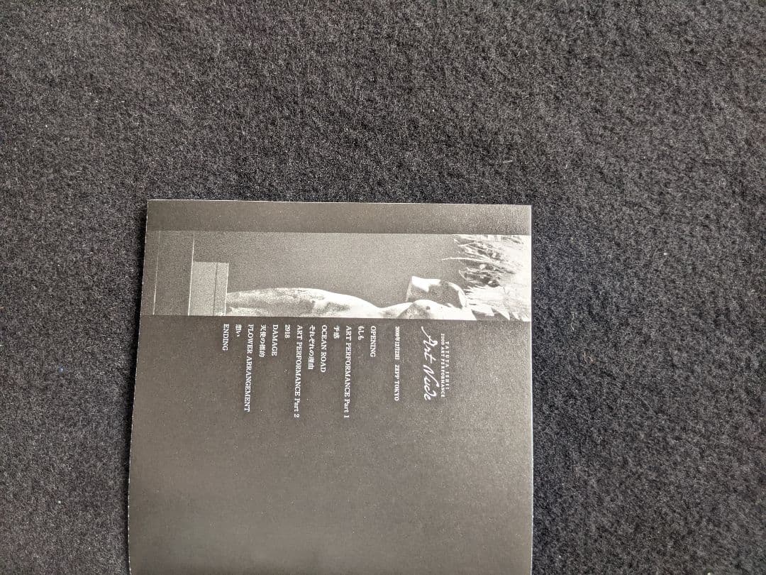 石井竜也　Art Nude 2000 DVD 予感　それぞれの理由　想い　帯付き