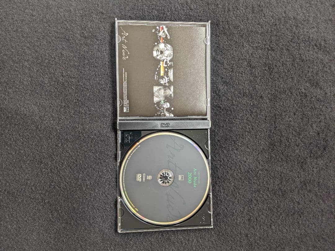 石井竜也　Art Nude 2000 DVD 予感　それぞれの理由　想い　帯付き