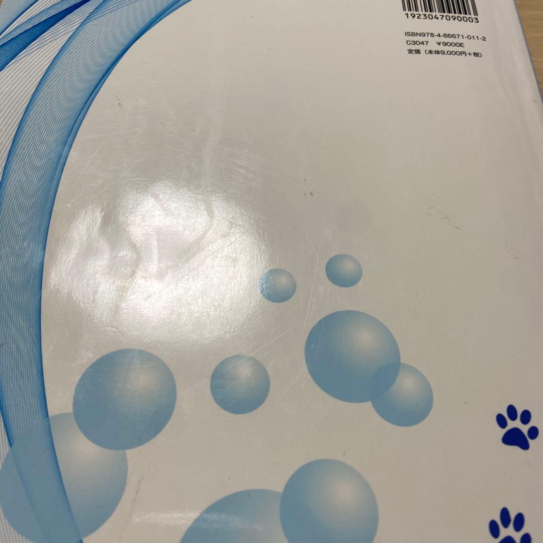 犬のスキンケアパーフェクトガイド