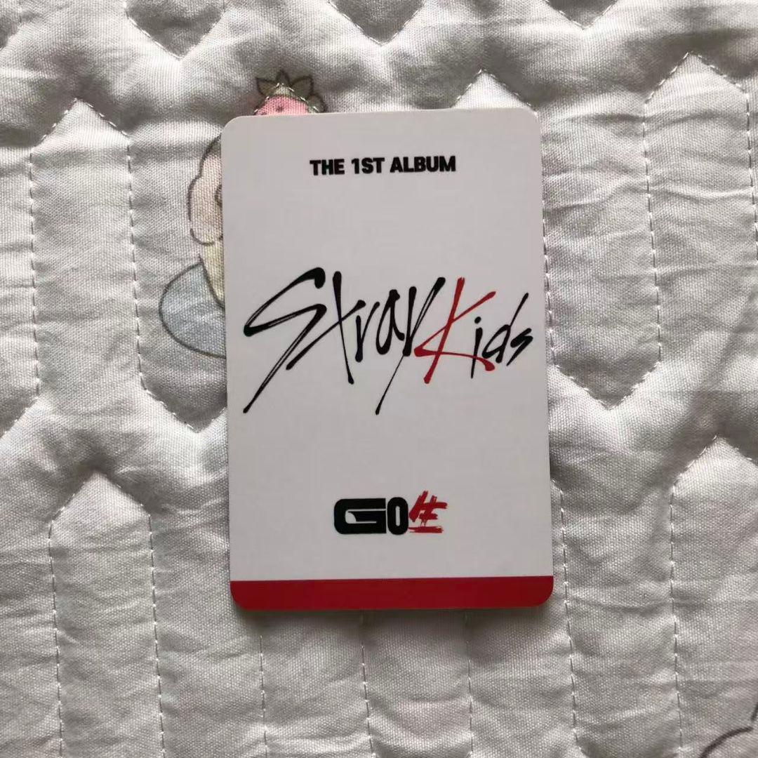StrayKids SKZ GO生 SUBK バンチャン トレカ フォトカード