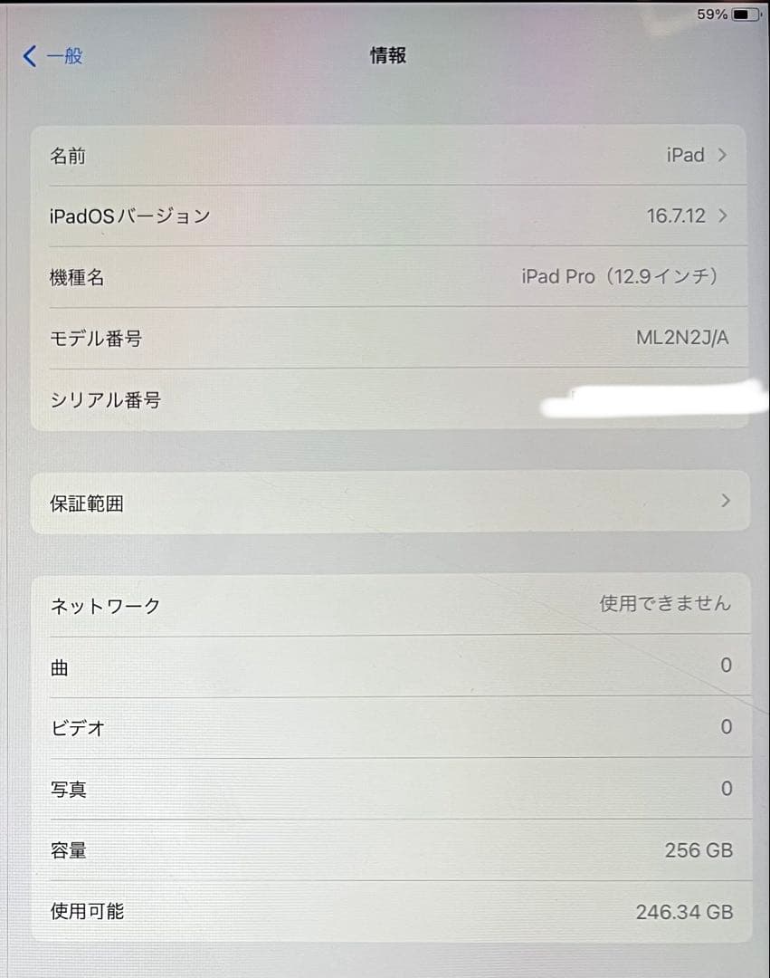W*n様 iPad pro 12.9インチ (第1世代) 256GB ゴールド