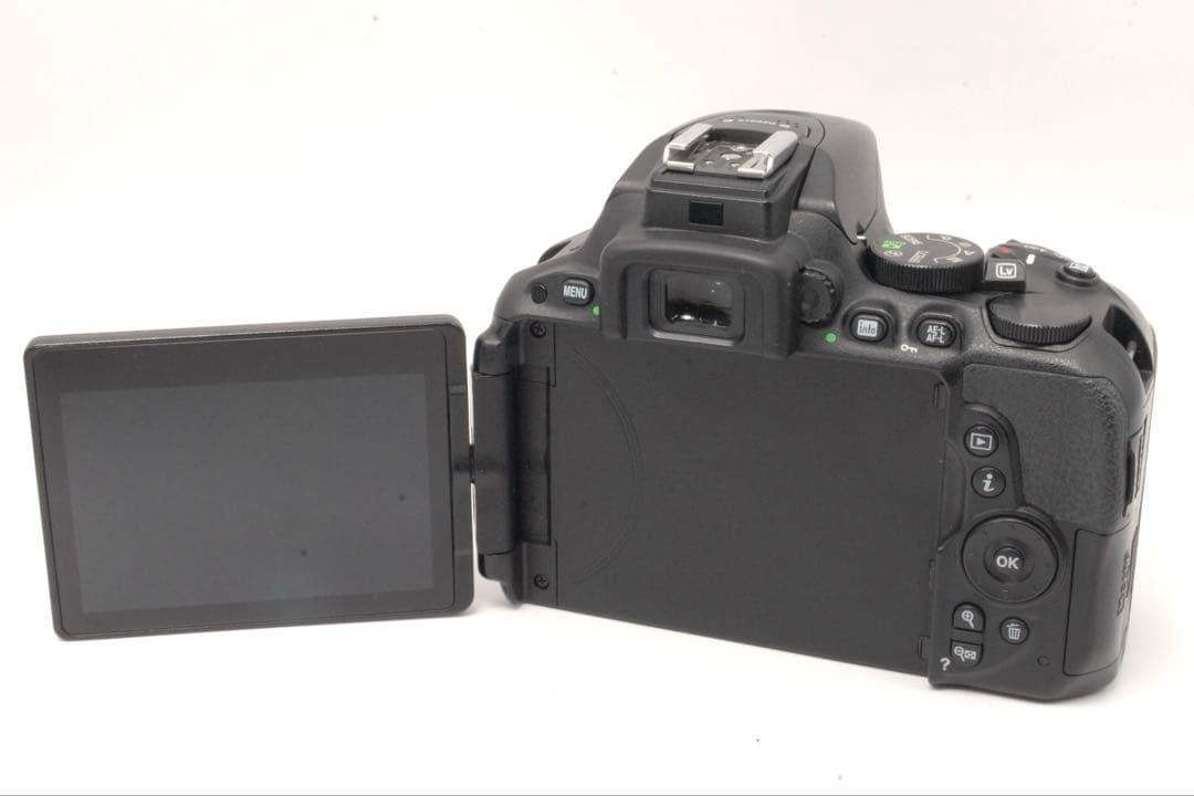 ✨美品✨Nikon D5500 初心者おすすめ 動作OK 一眼レフ 卒業 入学