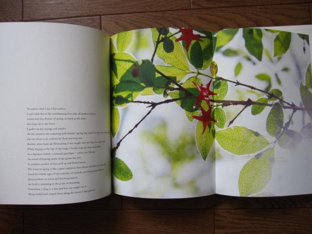 into the forest　田淵三菜　Mina Tabuchi　冊子付