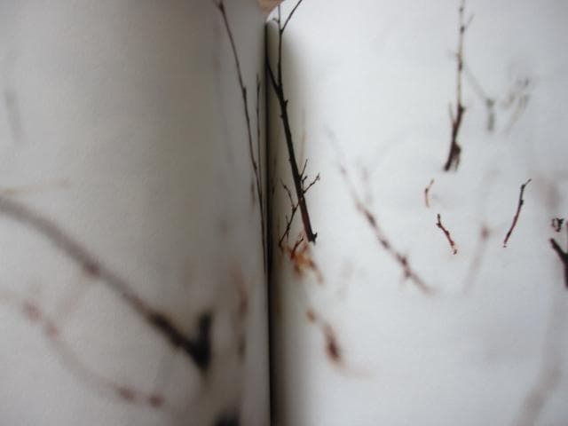 into the forest　田淵三菜　Mina Tabuchi　冊子付
