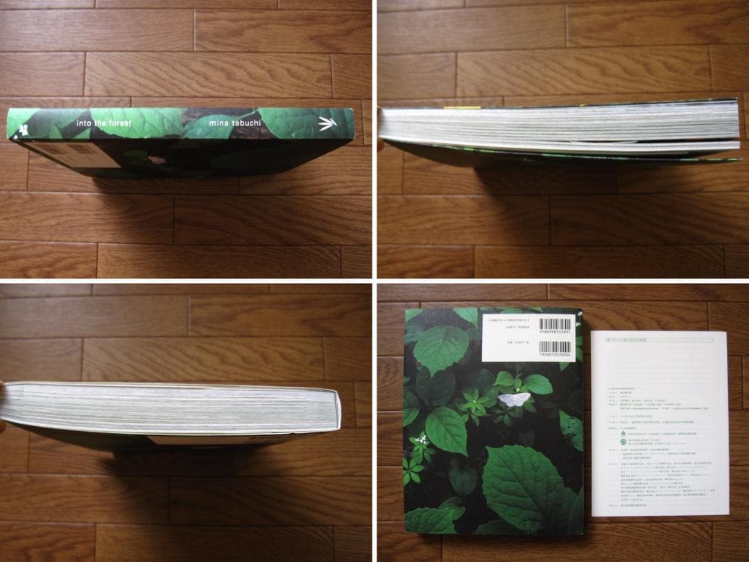 into the forest　田淵三菜　Mina Tabuchi　冊子付