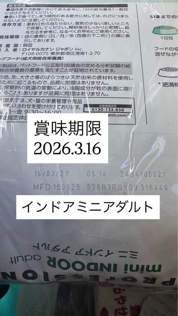 インドアミニアダルト　10kg