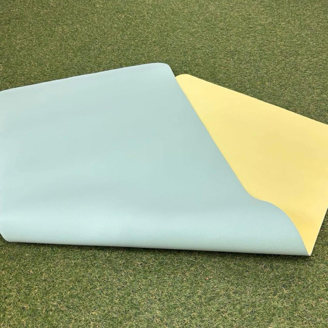 【即日発送 美品】SUKALA スカーラ リバーシブル ヨガマット ケースセット