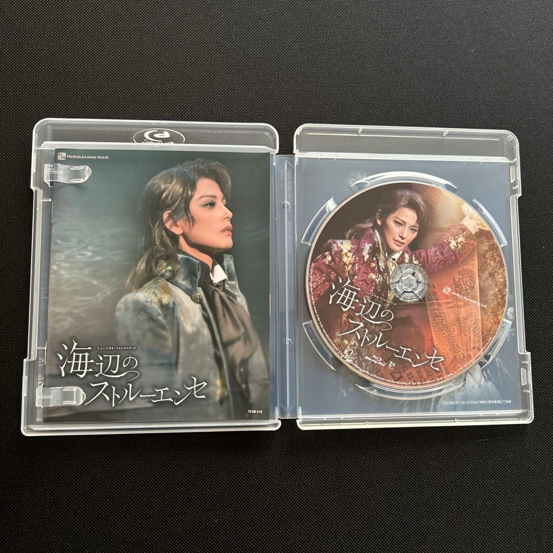 雪組 KAAT神奈川芸術劇場公演 海辺のストルーエンセ