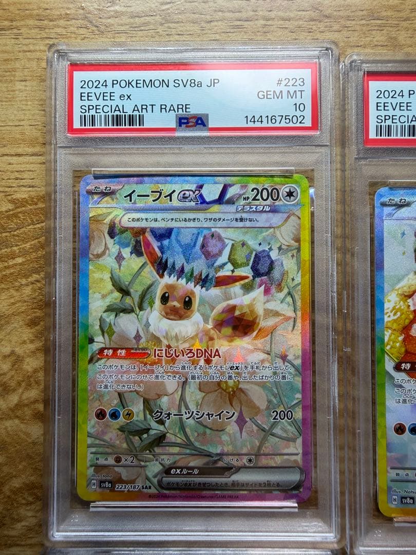 新 PSAケース PSA10 10枚ex ブイズSAR PSA10セット