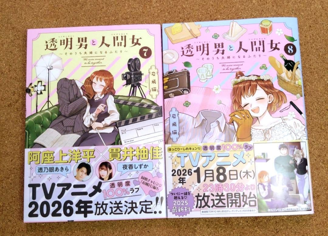 《美品・既刊全巻》透明男と人間女～そのうち夫婦になるふたり～ 1〜8巻