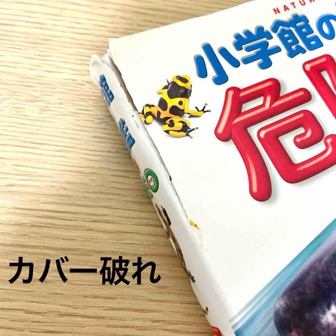 【DVD無し】小学館の図鑑neo 7冊まとめ／自由研究・知育本／図鑑中古本