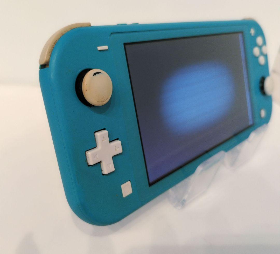【ジャンク】ニンテンドー Nintendo Switch Lite 値下げ不可