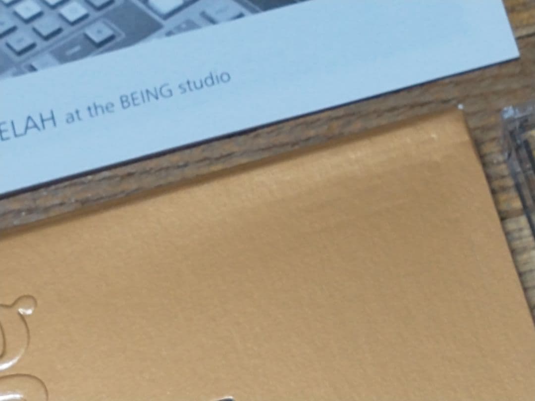 邦楽 complete of PAMELAH at the BEING studio