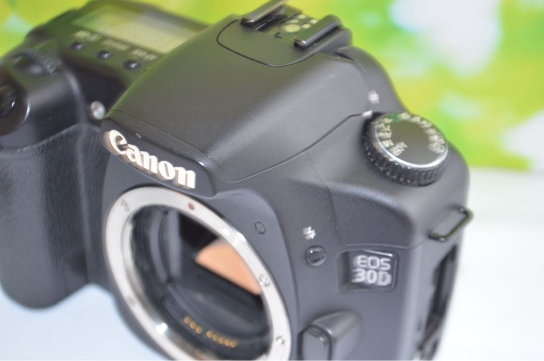 美品 Canon EOS 30D スマホ転送OK キャノン