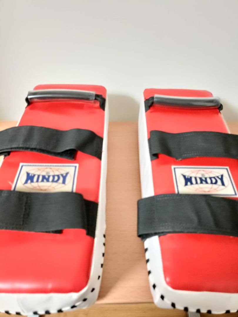 WINDY KP-11 キックパッド