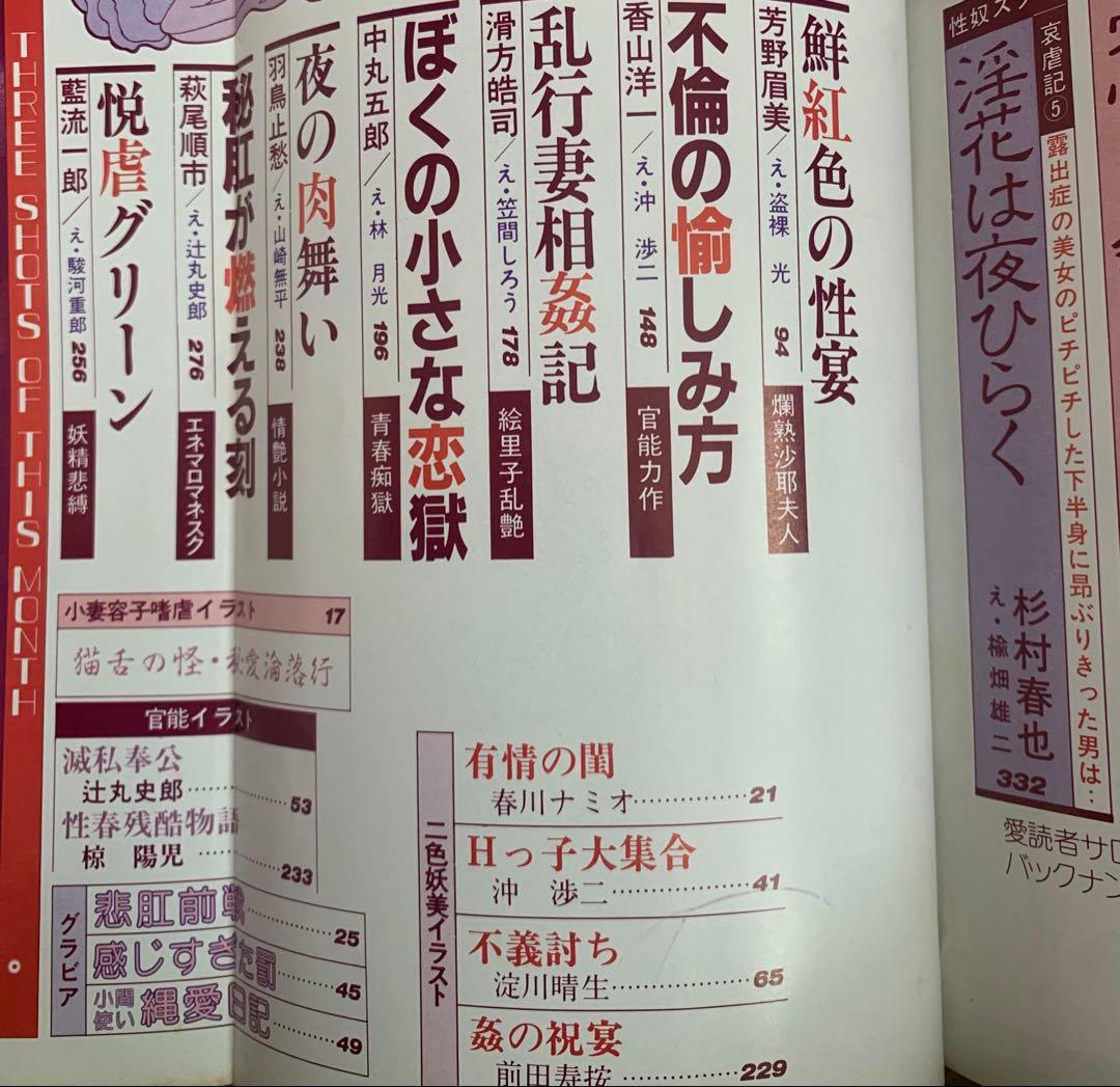 SM秘小説86.8 87.5