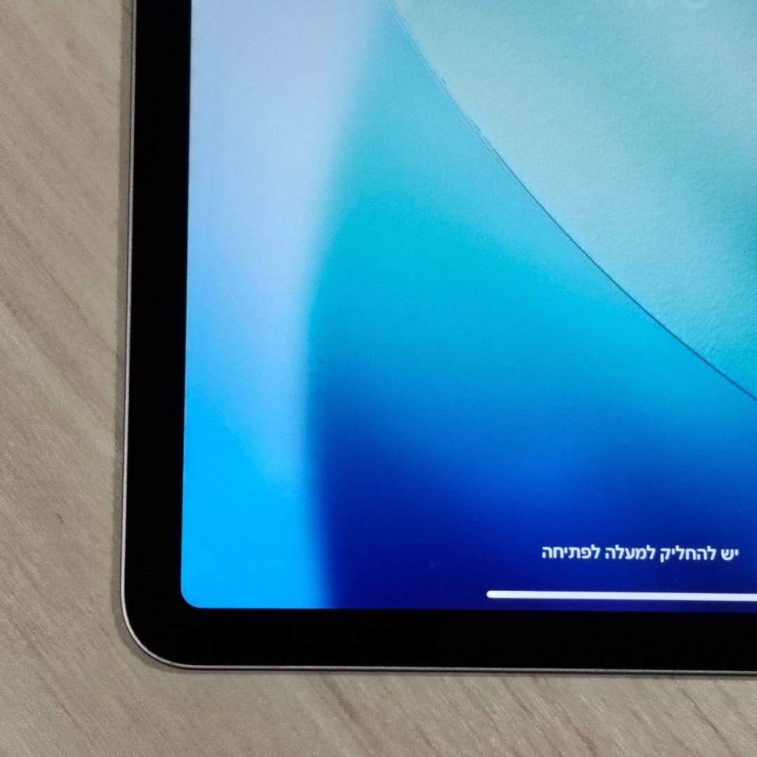 Apple iPad 第4世代 スカイブルー 256GB 本体 MYFY2J/A