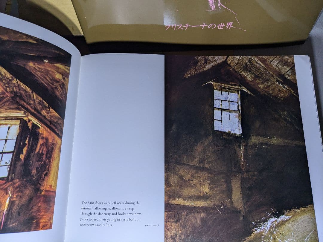 ワイエス画集 II 　クリスチーナの世界　リブロポート 【中古ー非常によい】