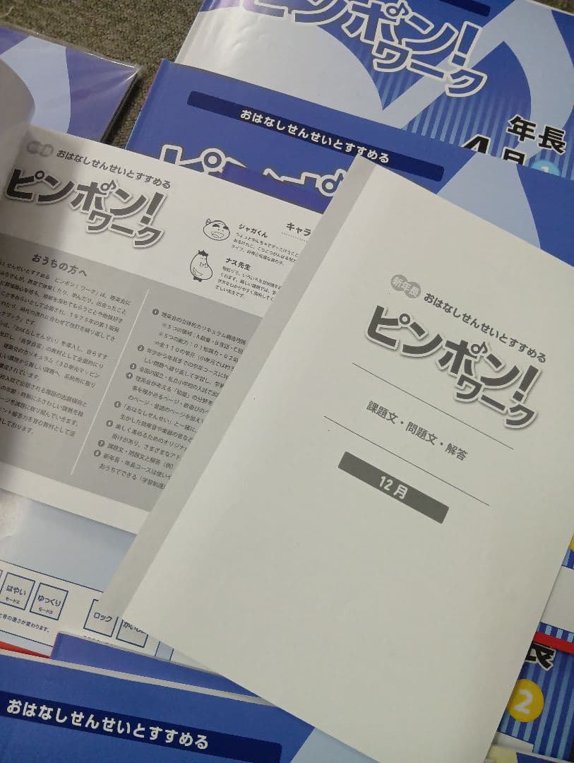 理英会　ピンポンワーク　年長　12月〜9月　書き込み無/タッチペン付属　中古
