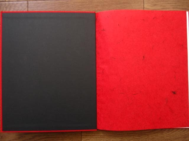 LEXICON　Viviane Sassen　ヴィヴィアン・サッセン　限定