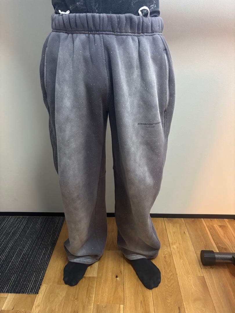 【岩田剛典さん着用】Alexander Wang スウェットパンツ S正規品