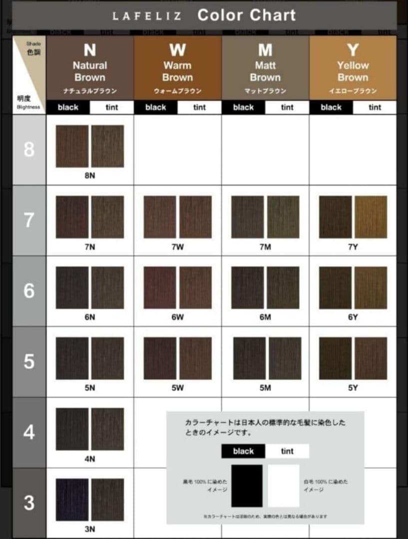 ラフェリース 6トーン&4トーン白髪染め黒染めカラー剤 40本セット