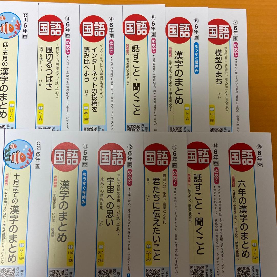 カラーテスト　6年生 国語 未記入